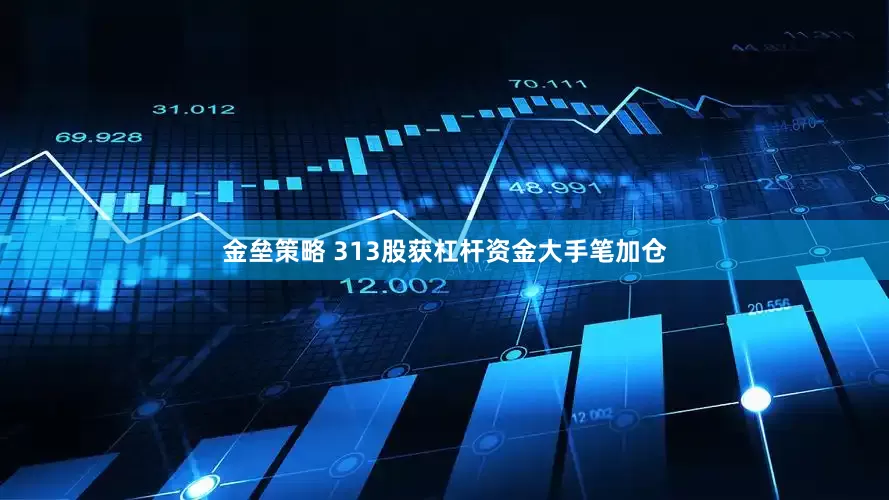 金壘策略 313股獲杠桿資金大手筆加倉(cāng)