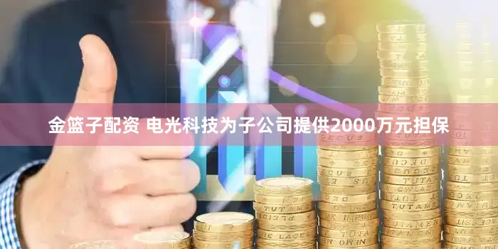 金籃子配資 電光科技為子公司提供2000萬元擔(dān)保