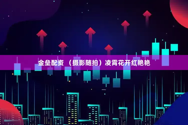 金壘配資 （攝影隨拍）凌霄花開(kāi)紅艷艷